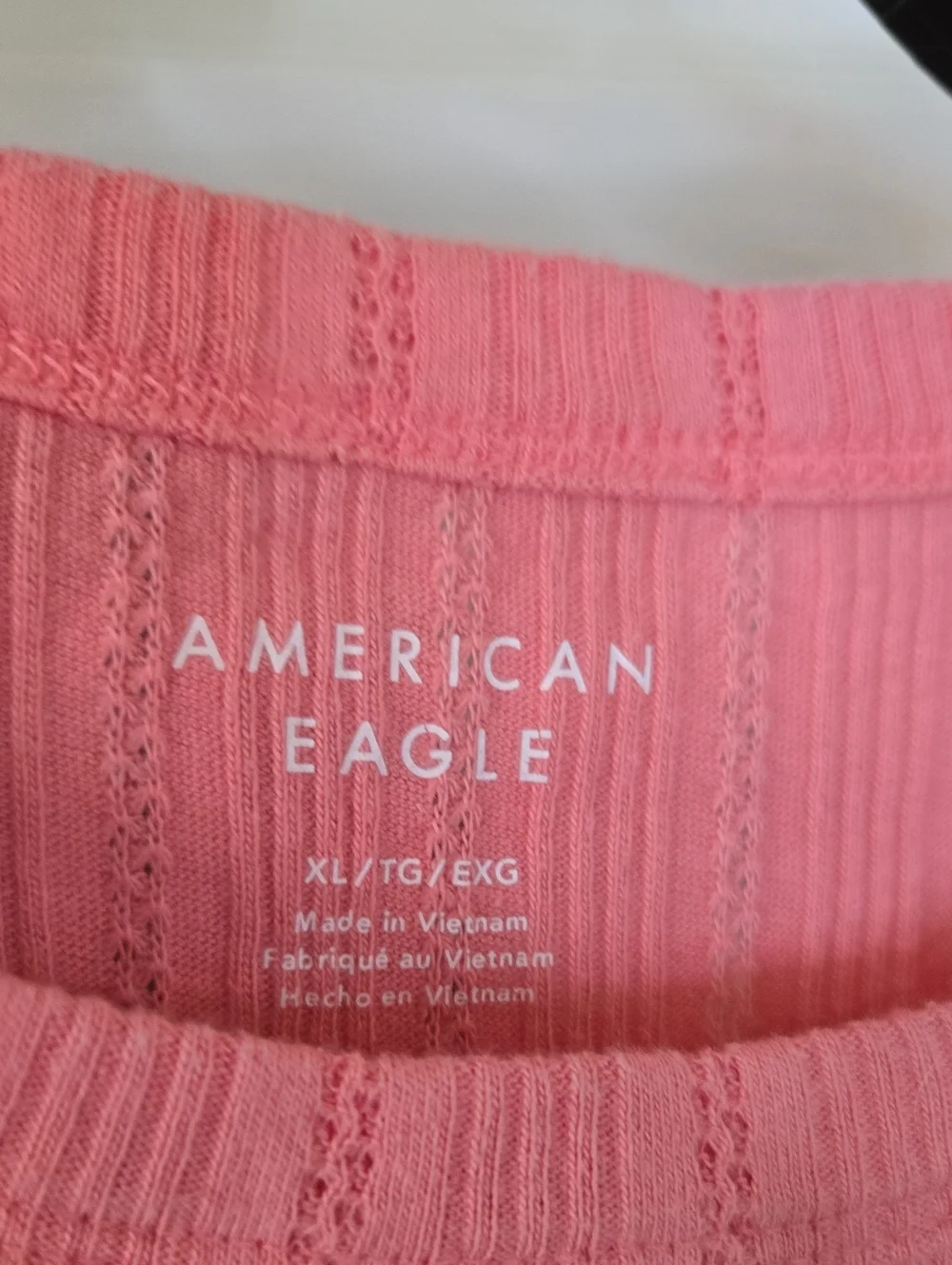 American Eagle Ribbed Crop Tee in Coral Pink (Single) - Picture 2 of 3